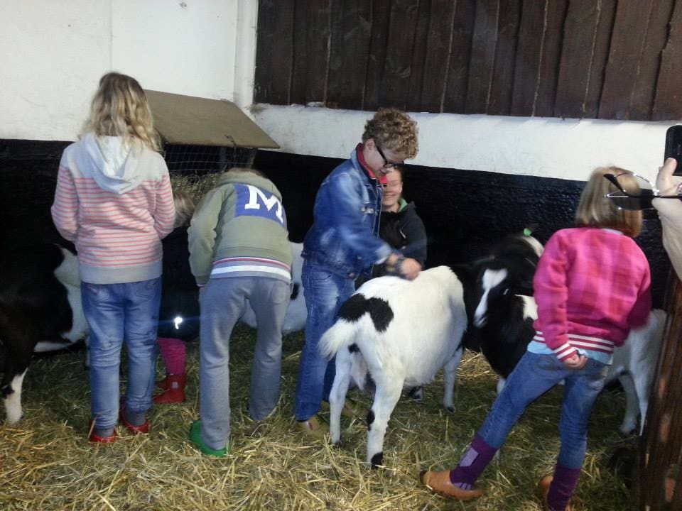 Kinderfeestje bij Kinderboerderij De Maten